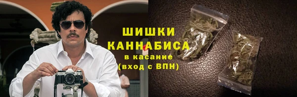 амф Богородицк