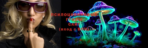 марки lsd Бугульма