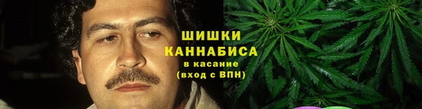 амф Богородицк